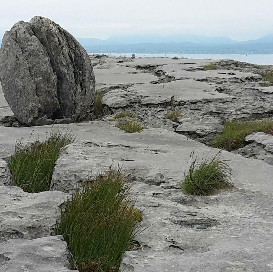 Dolphin Watch Wild Atlantic Way Fanore Exterior foto